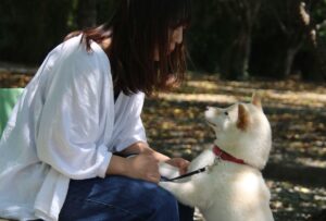 犬とパートナー