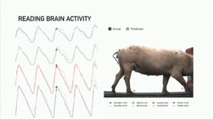 Neuralink デモンストレーション